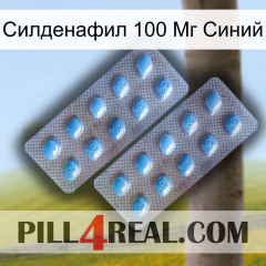 Силденафил 100 Мг Синий viagra4